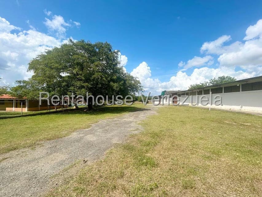 Comercial (Local Comercial) en Venta en Municipio Peña, Yaracuy - 40