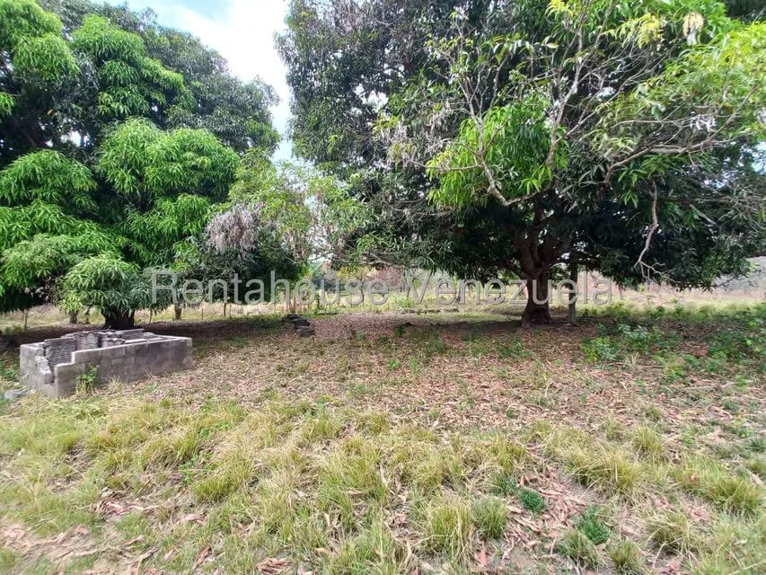 Casa (1 Nivel) en Venta en Centro, Lara - 24