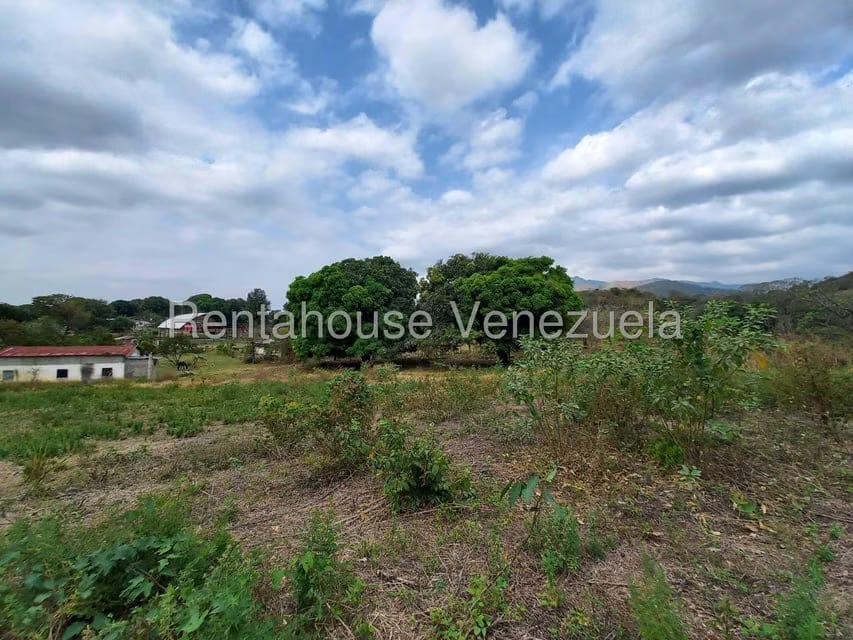 Casa (1 Nivel) en Venta en Centro, Lara - 36