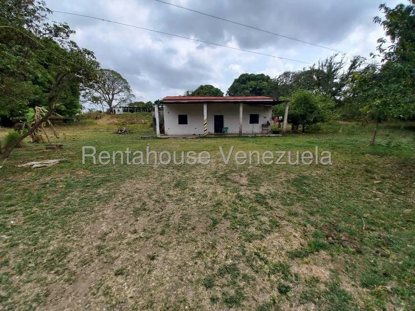 Casa (1 Nivel) en Venta en Centro, Lara - 5