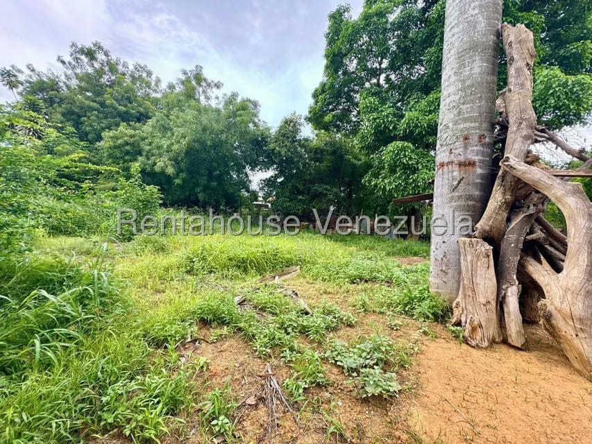 Casa (1 Nivel) en Venta en Centro, Lara - 36