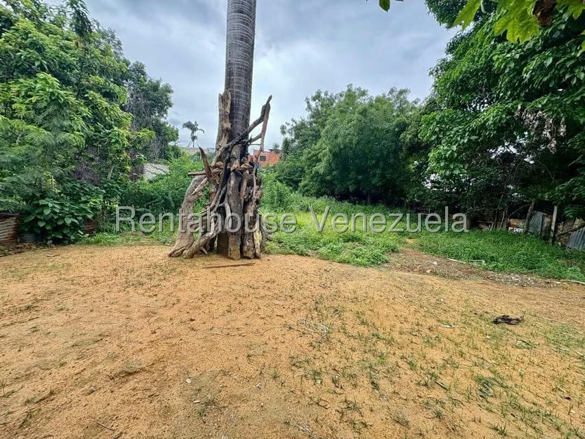 Casa (1 Nivel) en Venta en Centro, Lara - 48