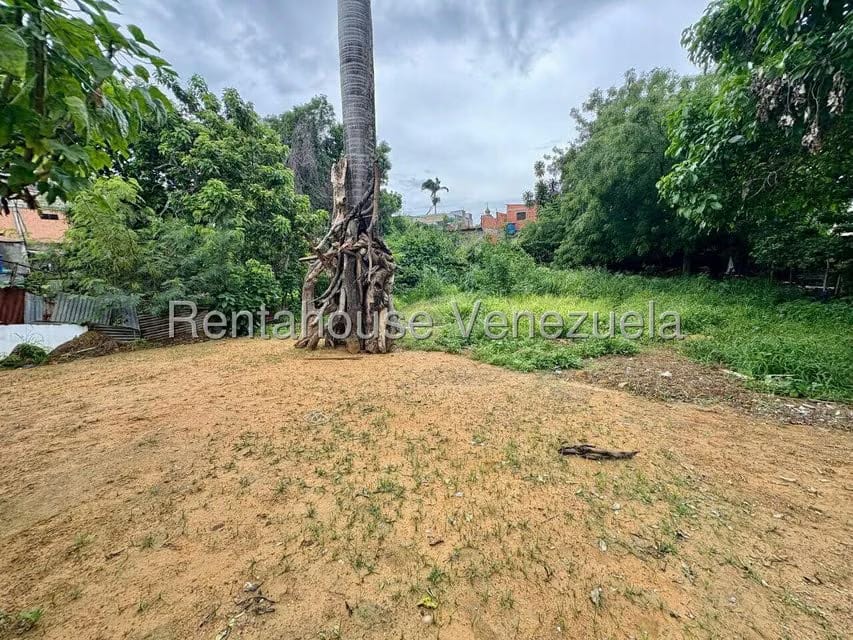Casa (1 Nivel) en Venta en Centro, Lara - 51