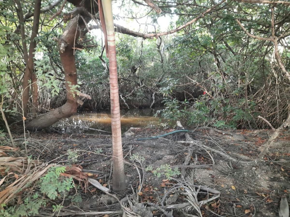 Venta de terreno - 13