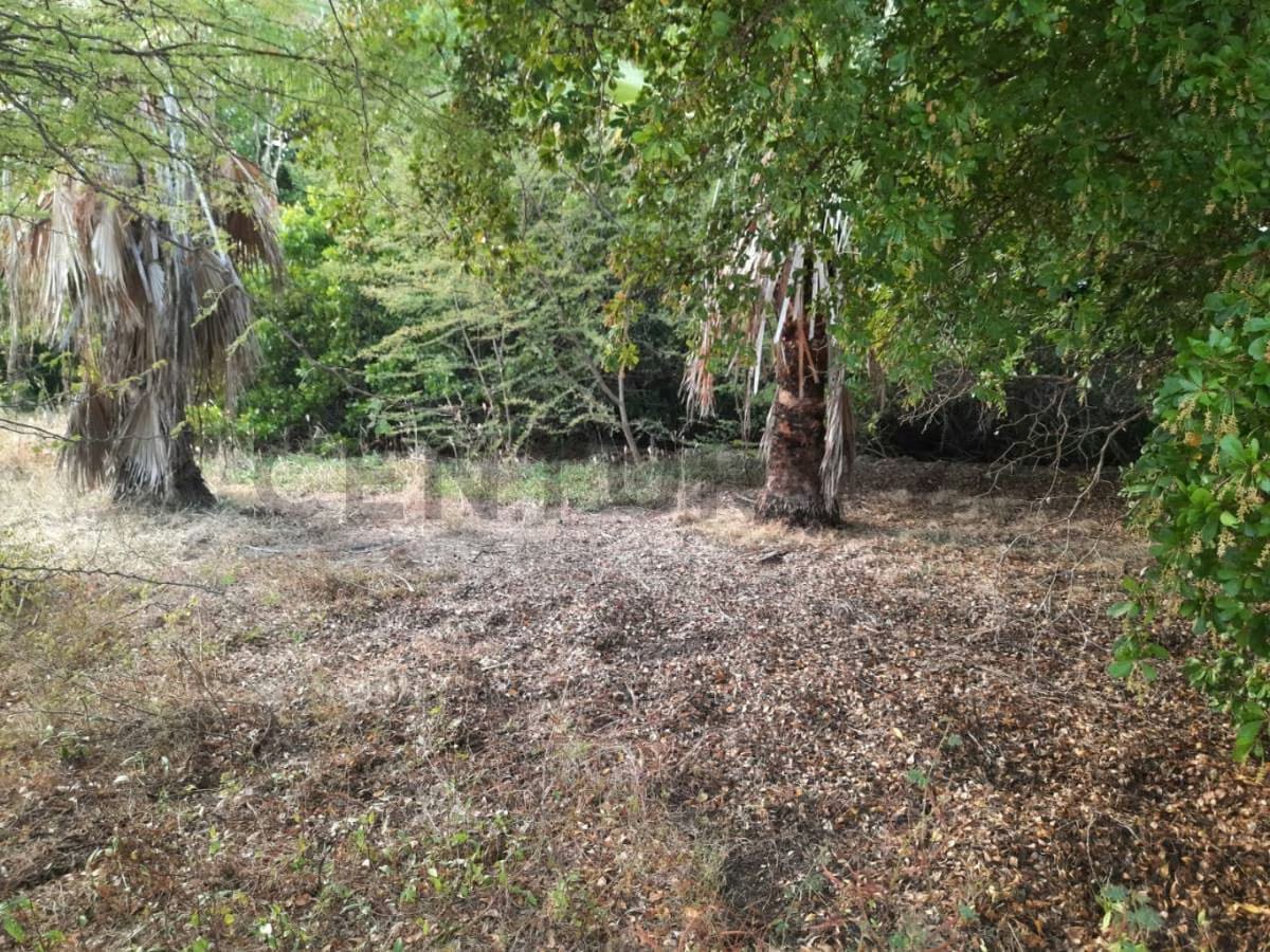 Venta de terreno - 14