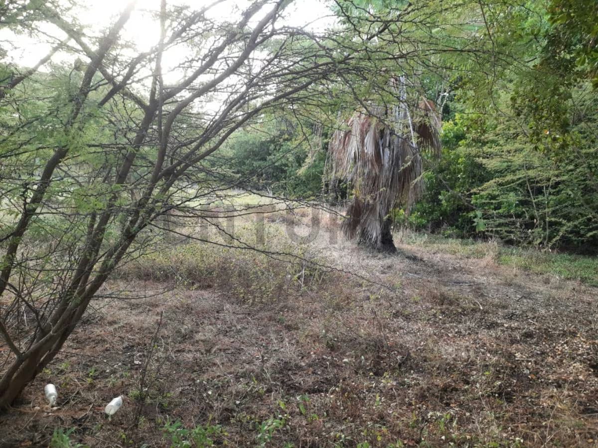 Venta de terreno - 15
