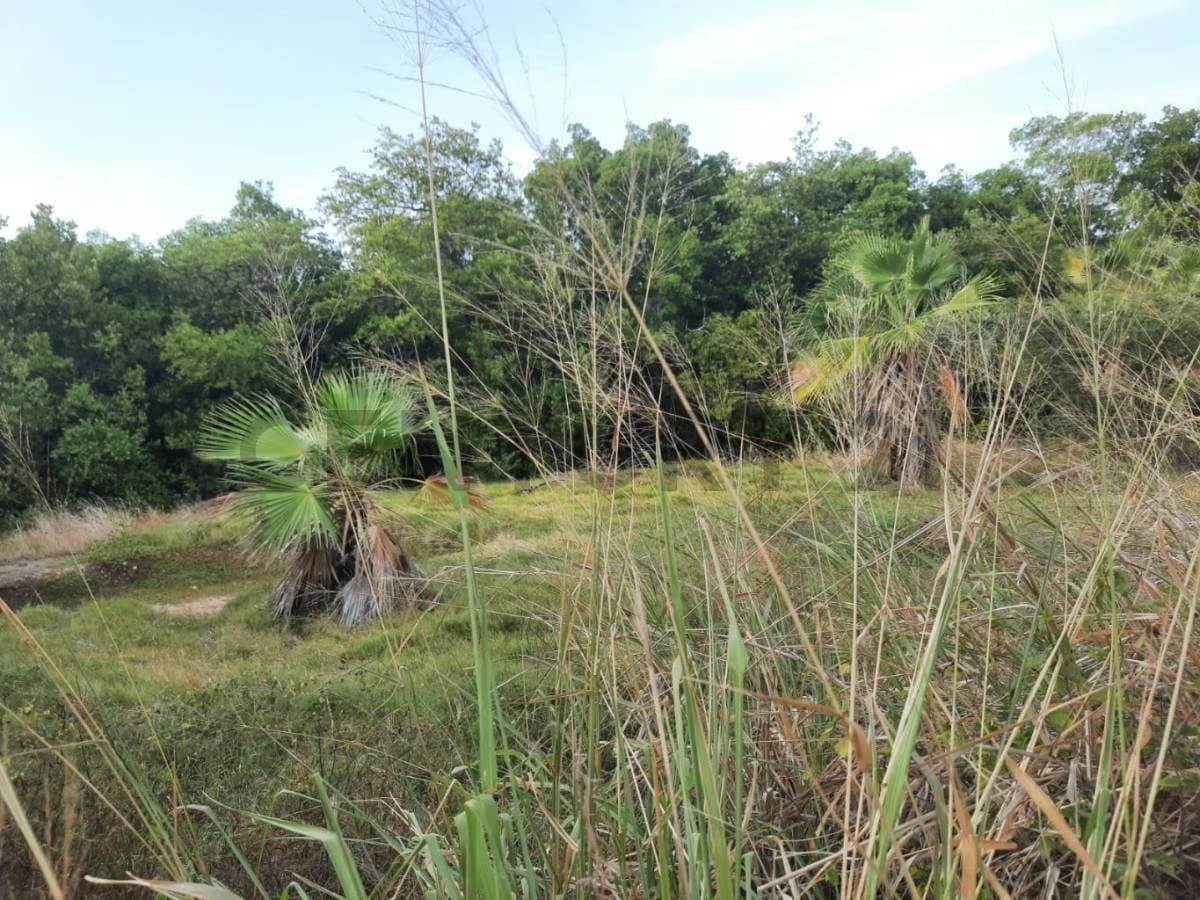 Venta de terreno - 16