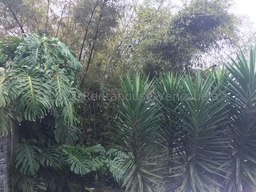 Casa (Multipes Niveles) en Venta en La Suiza, Miranda - 5