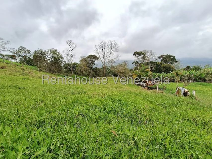 Terreno (Finca) en Venta en Buena Aventura, Merida