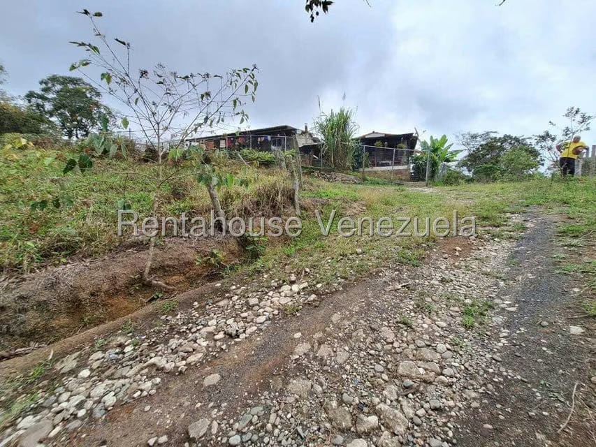 Terreno (Finca) en Venta en Buena Aventura, Merida - 12