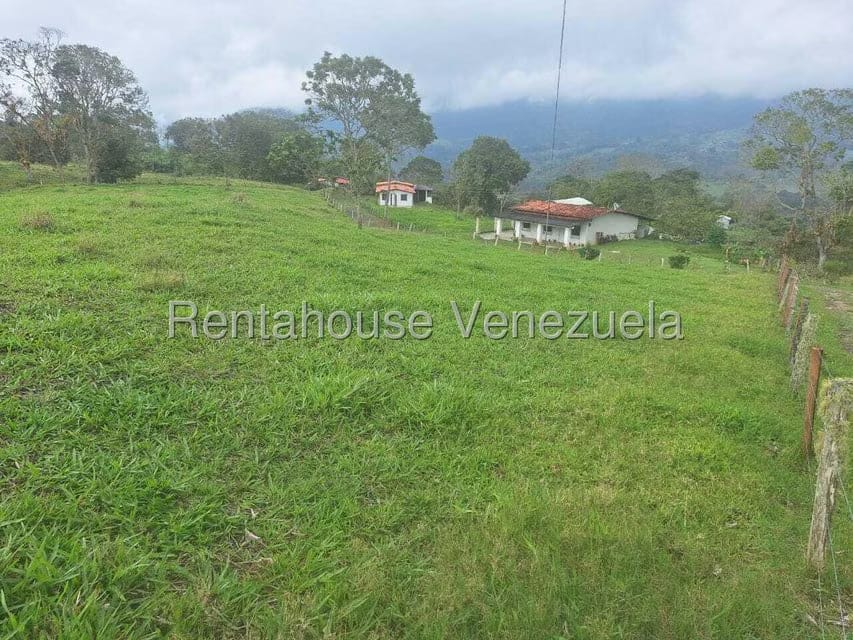 Terreno (Finca) en Venta en Buena Aventura, Merida - 13