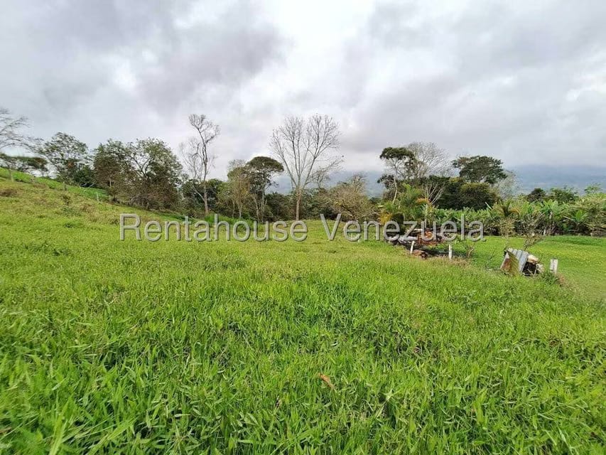 Terreno (Finca) en Venta en Buena Aventura, Merida - 15