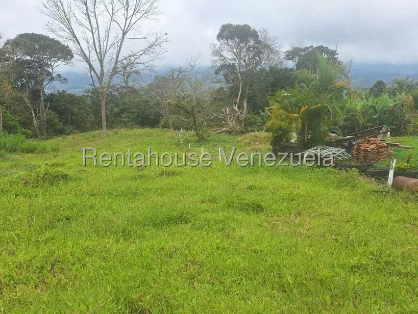 Terreno (Finca) en Venta en Buena Aventura, Merida - 3
