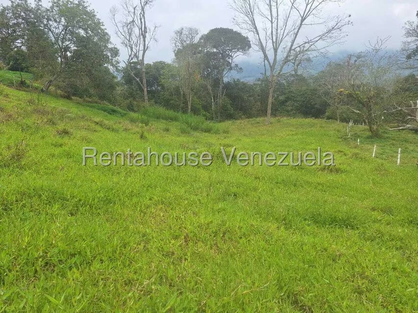 Terreno (Finca) en Venta en Buena Aventura, Merida - 4