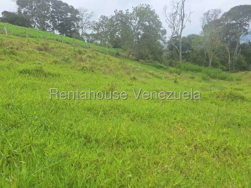 Terreno (Finca) en Venta en Buena Aventura, Merida - 5