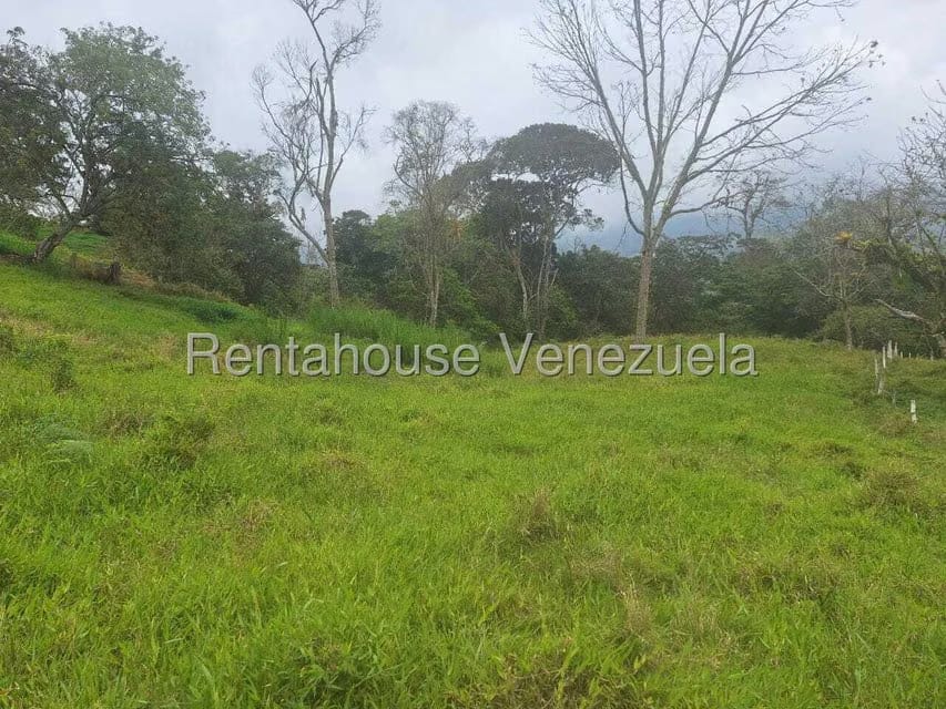 Terreno (Finca) en Venta en Buena Aventura, Merida - 6