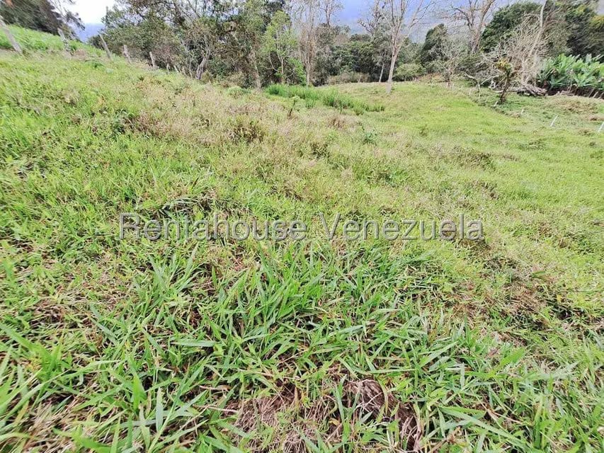 Terreno (Finca) en Venta en Buena Aventura, Merida - 8