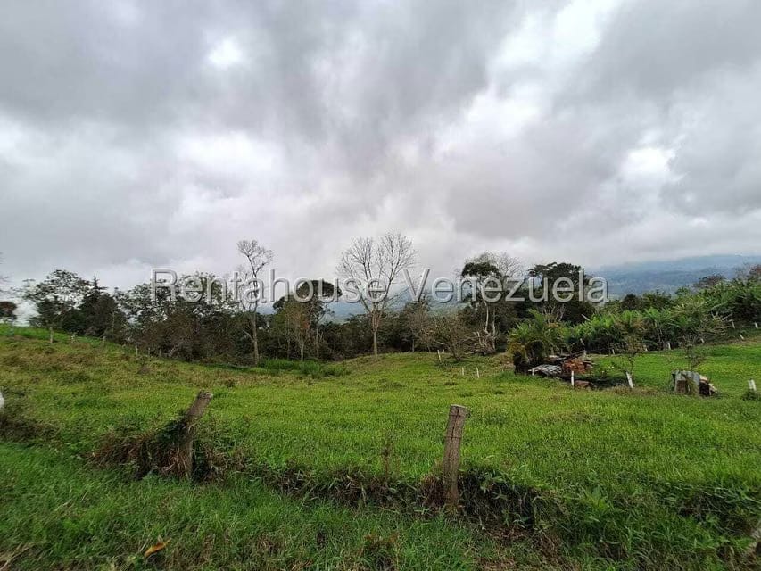 Terreno (Finca) en Venta en Buena Aventura, Merida - 9