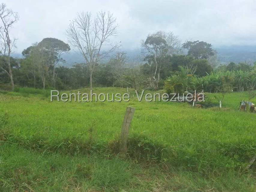 Terreno (Finca) en Venta en Buena Aventura, Merida - 10