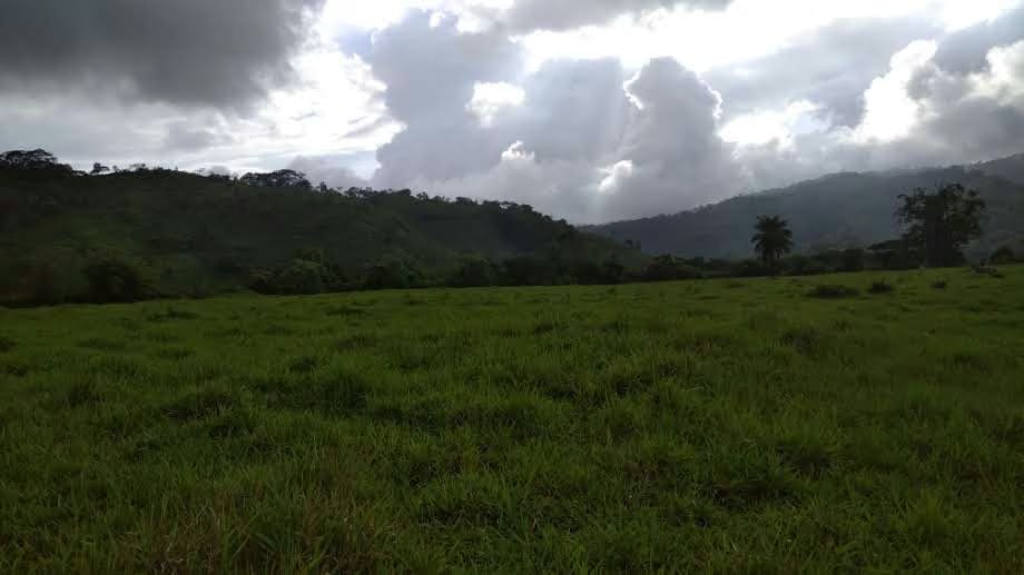 VENTA Hermosa Finca 37,5 Ha. Urachiche.Yaracuy - 2