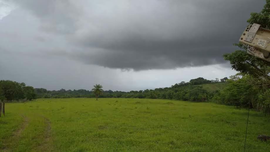 VENTA Hermosa Finca 37,5 Ha. Urachiche.Yaracuy - 5