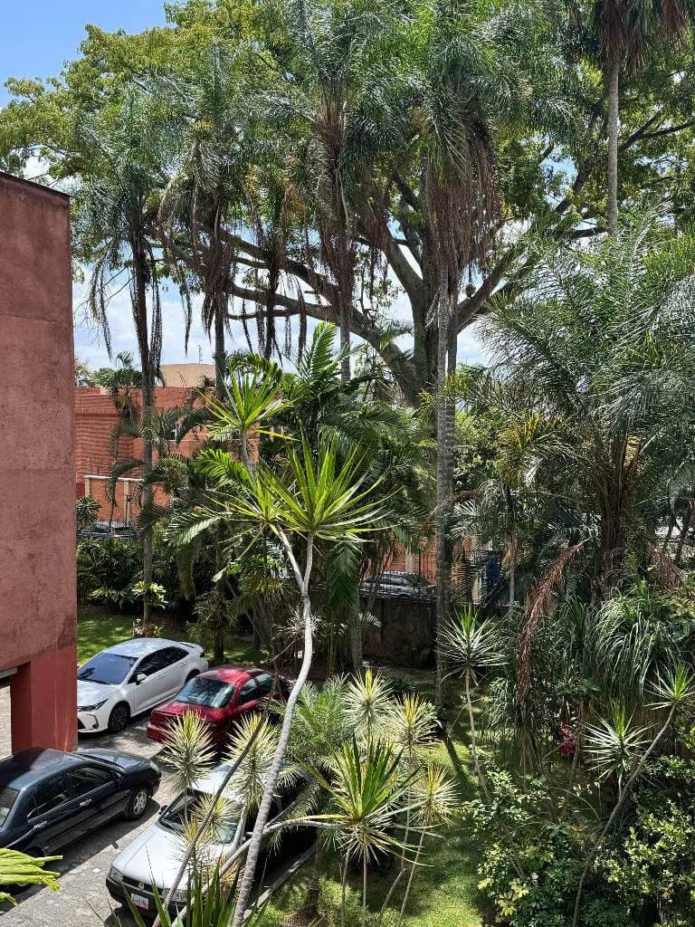 Se Vende Apartamento 204m2 La Alta Florida - 12