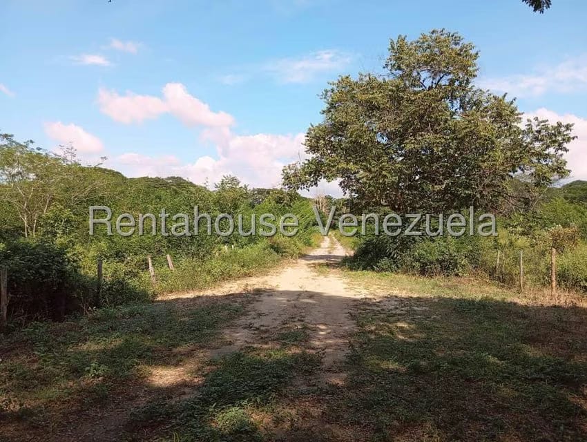 Terreno (Comercial) en Venta en Brisas de Jalisco, Trujillo - 2