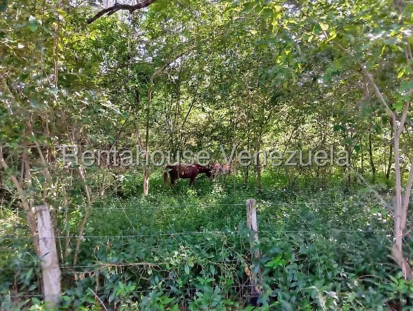 Terreno (Comercial) en Venta en Brisas de Jalisco, Trujillo - 21