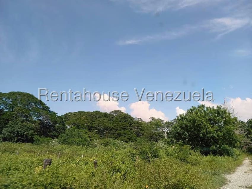 Terreno (Comercial) en Venta en Brisas de Jalisco, Trujillo - 5