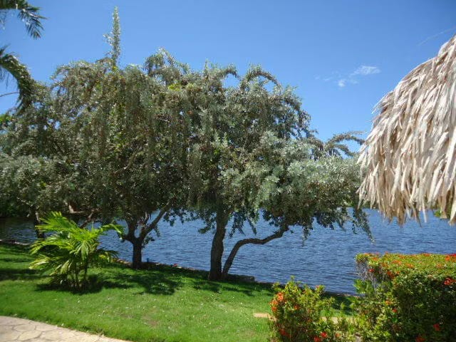 Apartamento (1 Nivel) en Venta en Los Canales de Rio Chico, Miranda - 39