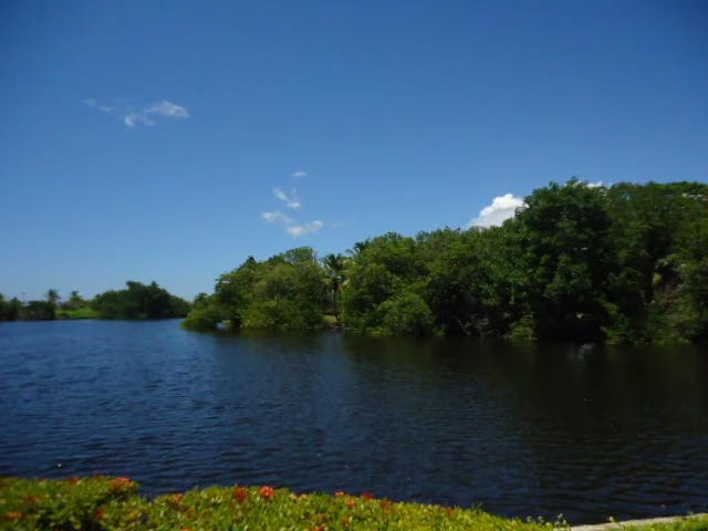 Apartamento (1 Nivel) en Venta en Los Canales de Rio Chico, Miranda - 40