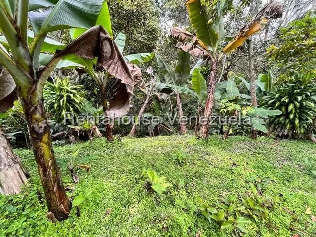 Casa (1 Nivel) en Venta en La Union, Distrito Metropolitano - 23