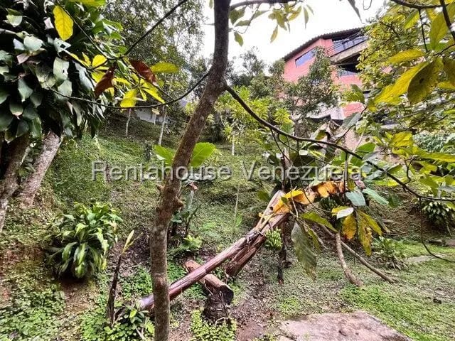 Casa (1 Nivel) en Venta en La Union, Distrito Metropolitano - 24