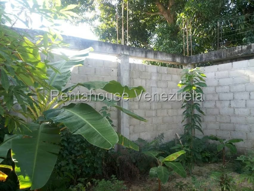 Terreno (Residencial) en Venta en San Felipe, Yaracuy - 3