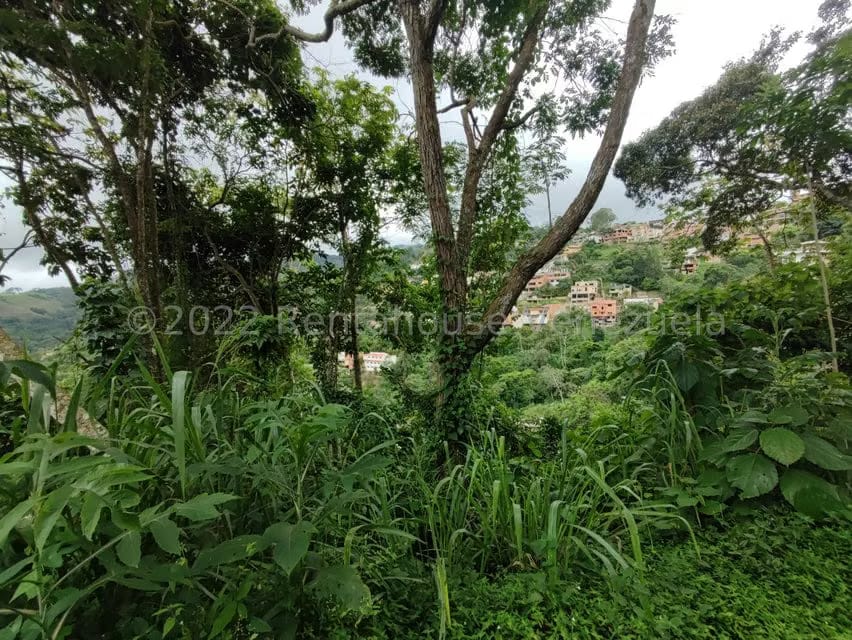 Terreno (Finca) en Venta en El Hatillo, Distrito Metropolitano - 6