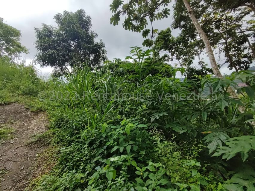 Terreno (Finca) en Venta en El Hatillo, Distrito Metropolitano - 7