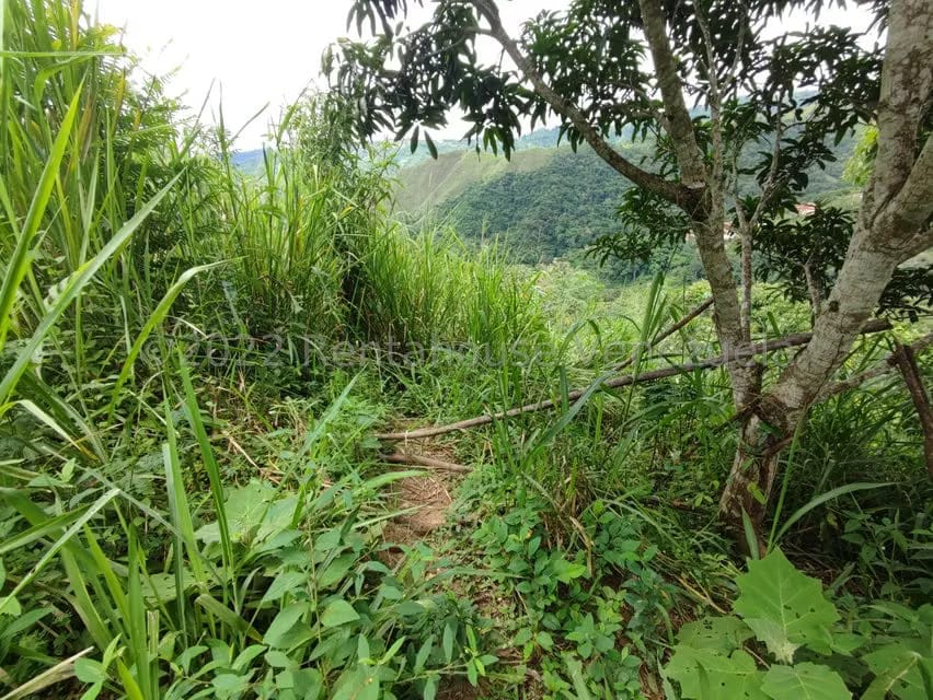 Terreno (Finca) en Venta en El Hatillo, Distrito Metropolitano - 10