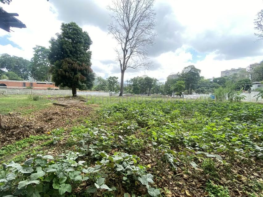 Terreno (Comercial) en Venta en El Peñon, Distrito Metropolitano - 27