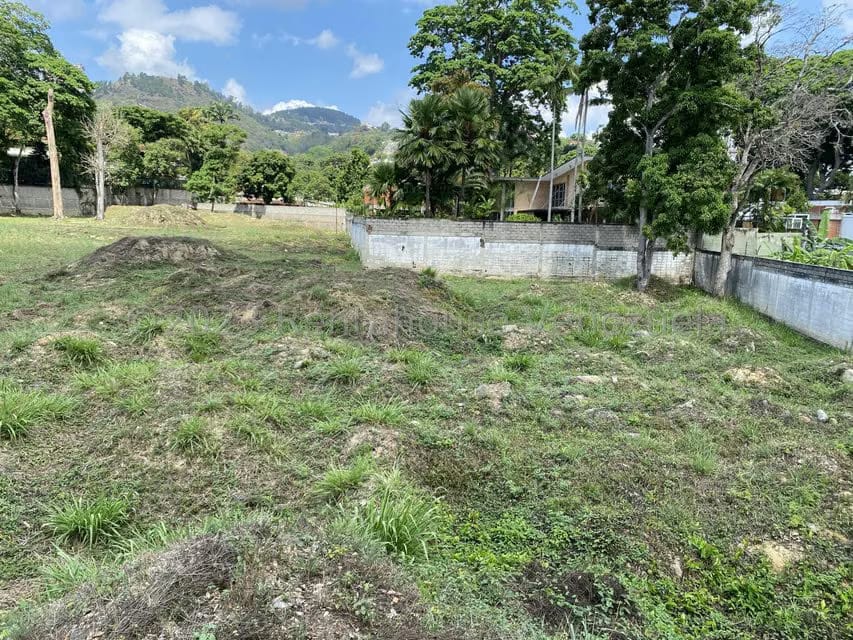 Terreno (Comercial) en Venta en El Peñon, Distrito Metropolitano - 8