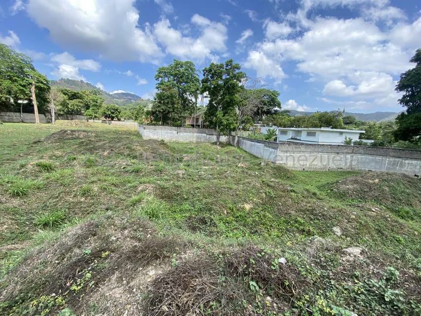 Terreno (Comercial) en Venta en El Peñon, Distrito Metropolitano - 9