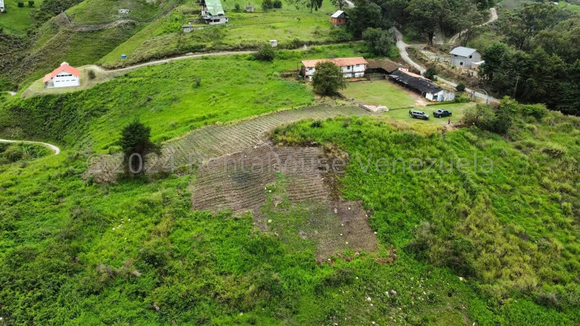 Terreno (Comercial) en Venta en Sector Potrero Perdido, Aragua - 2