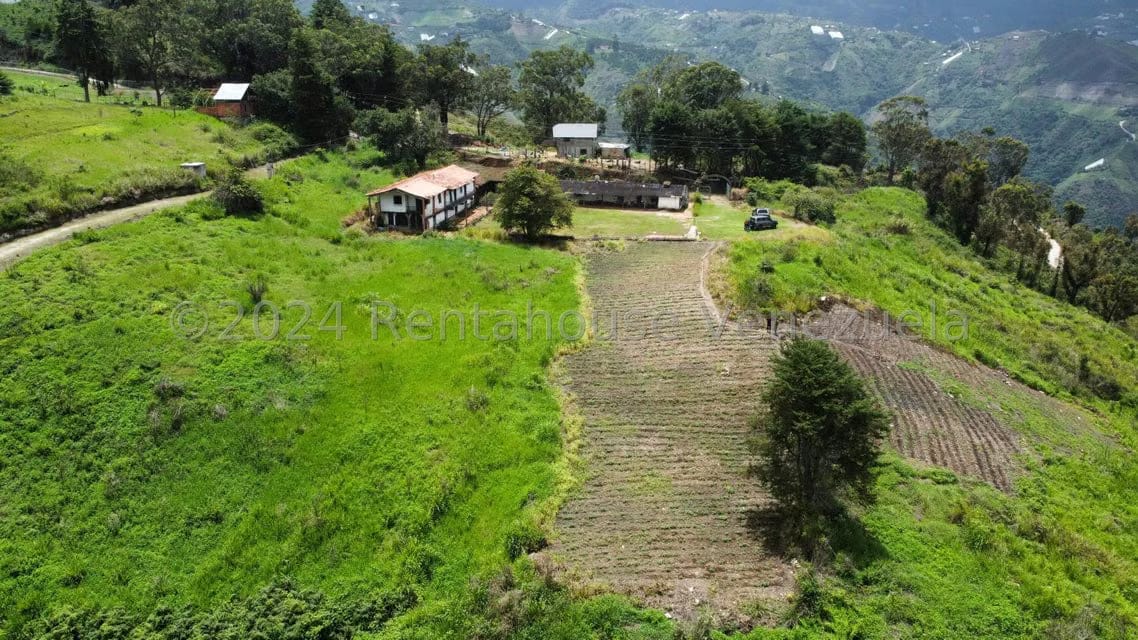 Terreno (Comercial) en Venta en Sector Potrero Perdido, Aragua - 16