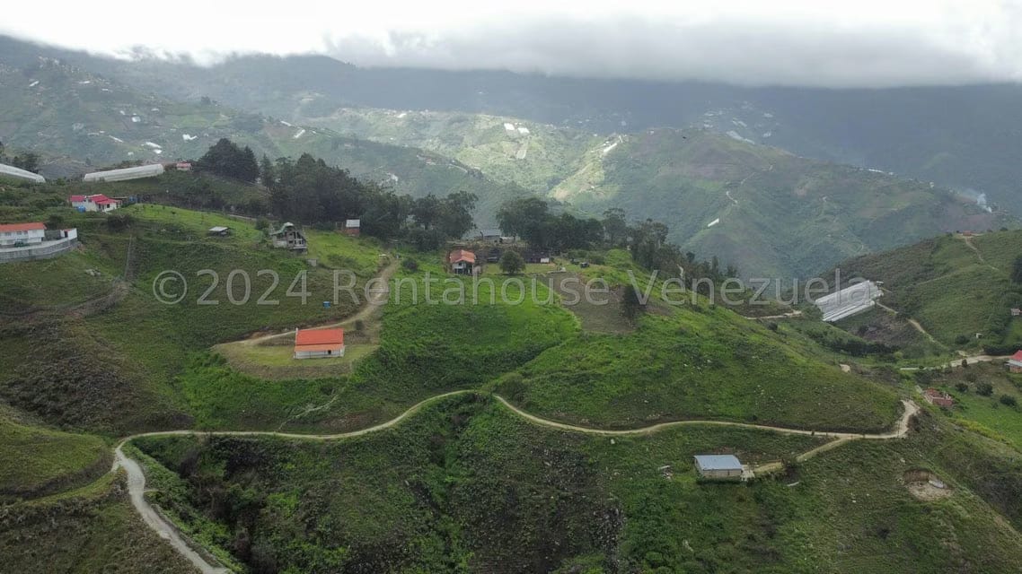 Terreno (Comercial) en Venta en Sector Potrero Perdido, Aragua - 9