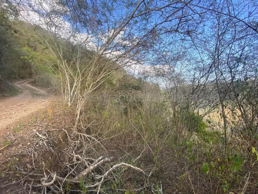 Terreno (Finca) en Venta en El Hatillo, Distrito Metropolitano - 9