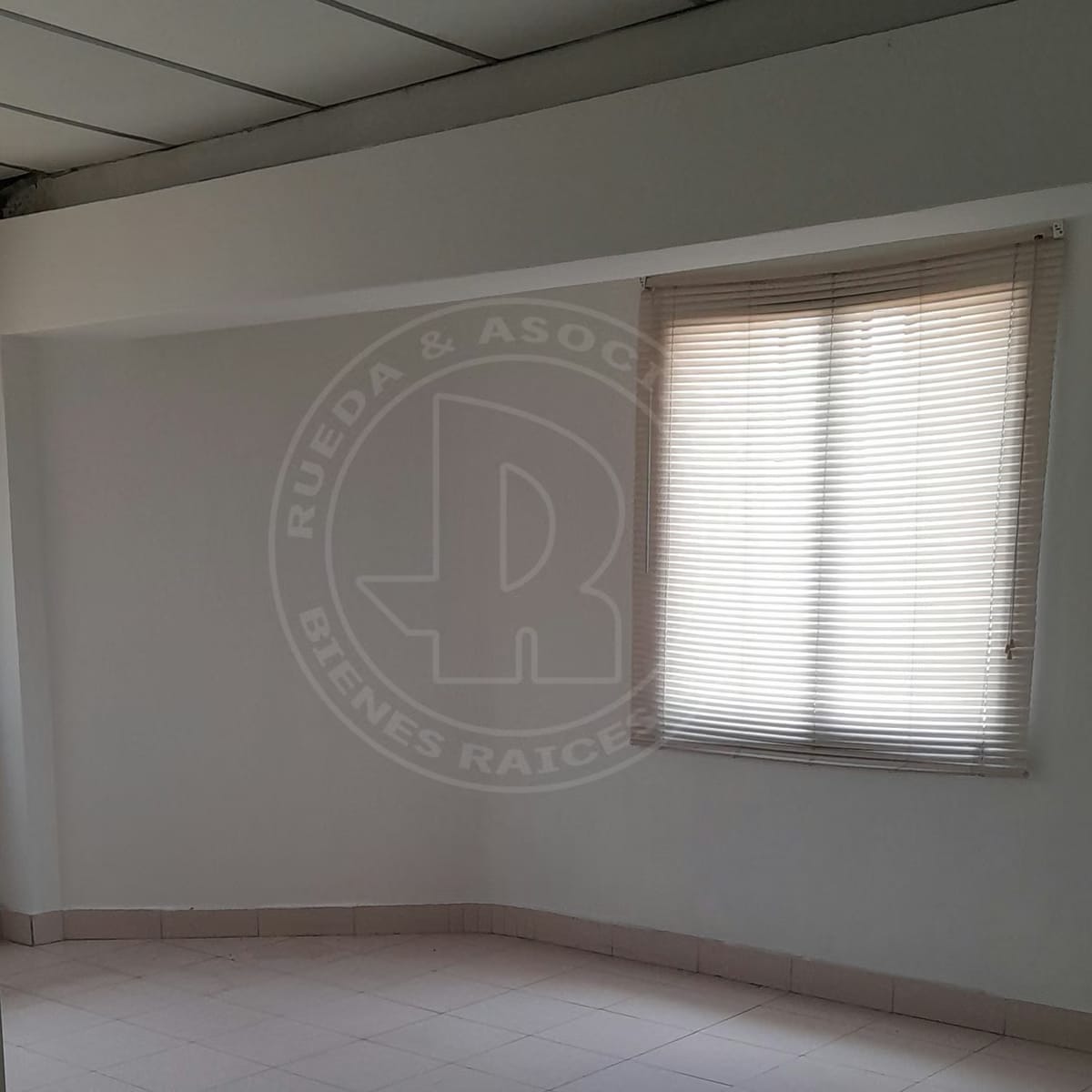 Galpón en Venta - Centenario - Ejido - Estado Mérida - 2