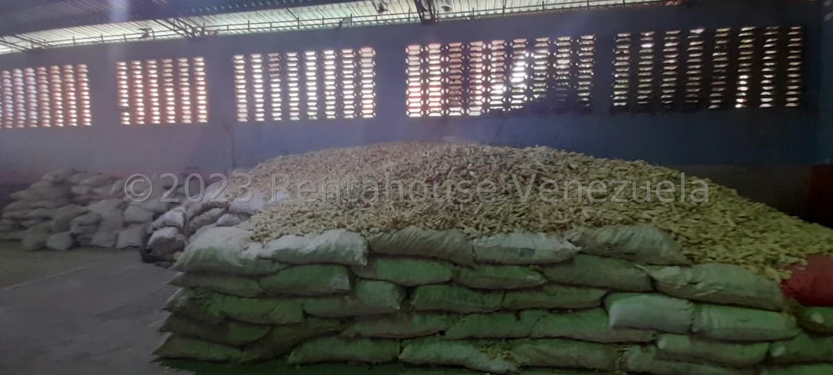 Comercial (Galpon - Deposito) en Venta en Centro, Portuguesa - 19