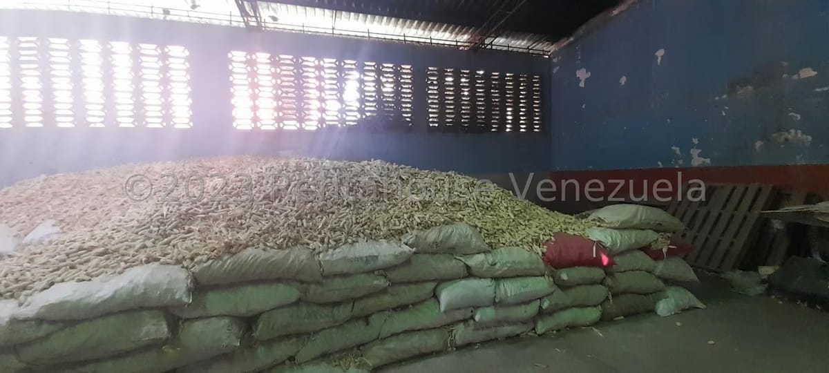 Comercial (Galpon - Deposito) en Venta en Centro, Portuguesa - 20