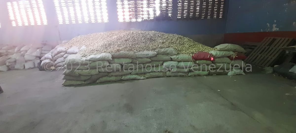 Comercial (Galpon - Deposito) en Venta en Centro, Portuguesa - 23