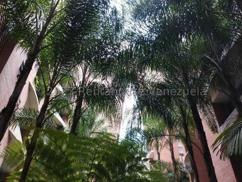Apartamento (1 Nivel) en Venta en Lomas de Las Mercedes, Distrito Metropolitano - 50