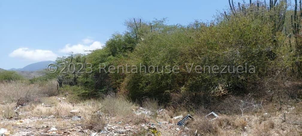 Terreno (Industrial) en Venta en Los Robles, Nueva Esparta - 4
